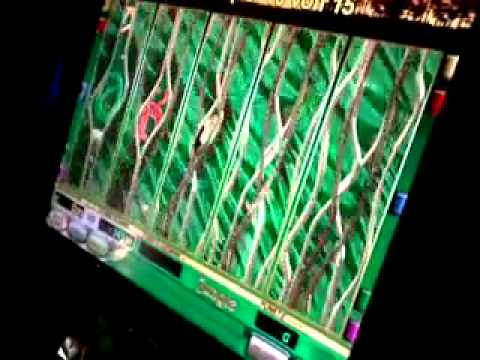 Novoline ll  Jungle  Lasst uns die Autmoatenindustrie Platt machen!Wir gewinnen IMMMER xD