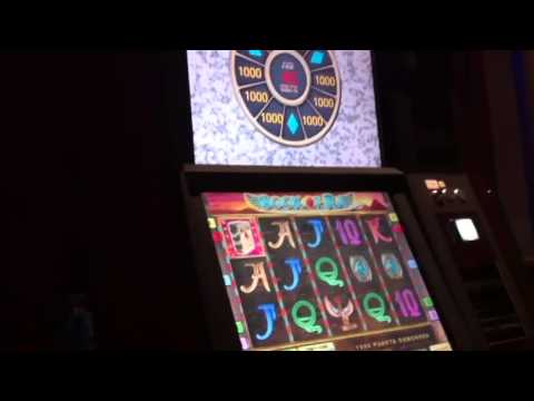 Book of Ra 1€ Fach 4x Forscher in den FS NEU 03.03.2026 KRACHER TAG