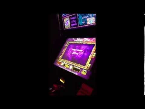 Merkur Magic Tree 2€ Fach was für eine Knaller Win