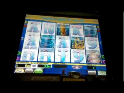 Dolphins Pearl FS 60 Cent OH JA VOLL GEIL 5.6.2026