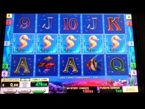 Dolphins Pearl schöner Gewinn. Vollbild und AGs!